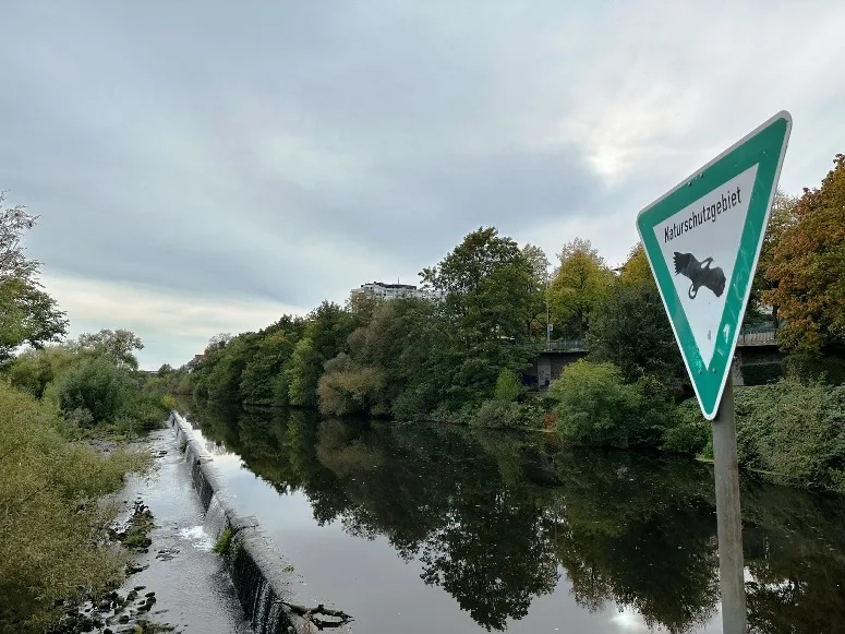 Naturschutzgebiet der Ruhr in Mülheim, Blick vom Ruhrkristall in Richtung Wasserbahnhof. Im Vordergrund die Ruhr, umgeben von grünen Bäumen und Vegetation, die sich im Wasser spiegelt