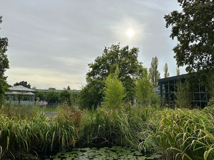 Der MüGa Park in Mülheim an der Ruhr, eine weitläufige Grünanlage mit gepflegten Rasenflächen, bunten Blumenbeeten und verschlungenen Wegen. Im Hintergrund sind Bäume und eventuell eine moderne Skulptur oder ein Wasserlauf zu sehen, die den Park prägen. Besucher spazieren oder entspannen auf den Wiesen, während die Atmosphäre ruhig und einladend wirkt.